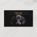 Recherche de séance de chien cartes visite Se reposer