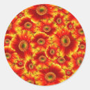 Recherche de marguerite orange de gerbera autocollants Marguerie