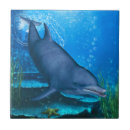 Recherche de dolphin carreaux Poissons