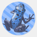 Recherche de grenouille bleue autocollants Amphibien
