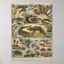 Recherche de histoires illustrées posters Vintage