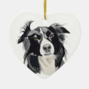Recherche de border collie ornements Chien de berger