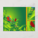 Recherche de perruches cartes postales Tropical