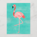Recherche de flamant exotique cartes postales Hawaii