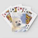 Recherche de mammifère marin jeux de cartes Vie marine