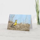 Recherche de larve vœux cartes Nature