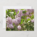 Recherche de seringue vœux cartes Violet