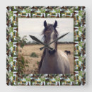 Recherche de cheval arabe horloges Équin