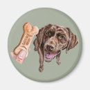 Recherche de biscuits magnets Illustration