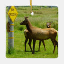 Recherche de wildlife ornements Nature