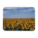 Recherche de sunflower magnets Flowers