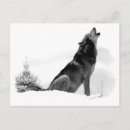 Recherche de loup dans la neige cartes postales Loup de bois