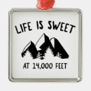 Recherche de rocky mountaineer ornements Pour tous