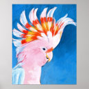 Recherche de oiseau rose posters Oiseaux