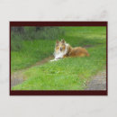 Recherche de colley cartes postales Vacances