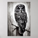 Recherche de hibou gris posters Oiseau de proie