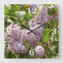 Recherche de fleurs lilas horloges Floral
