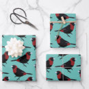 Recherche de oiseaux noirs papier cadeau Faune