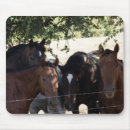 Recherche de cheval quart tapis souris Animaux
