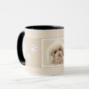 Recherche de caniche abricot tasses Chiot