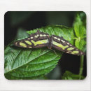 Recherche de ailes papillon tapis souris Vert