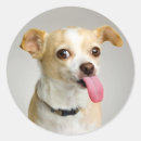 Recherche de grossier autocollants Animal