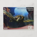 Recherche de aigu cartes postales Turquoise
