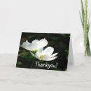 Recherche de pavots vœux cartes Été
