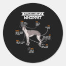 Recherche de whippets autocollants Greyhound
