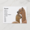 Recherche de alpaga cartes visite Lama