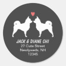 Recherche de chiwawa autocollants Chihuahua