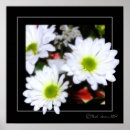 Recherche de flower power posters Fleurs