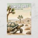Recherche de tortues cartes postales Travel