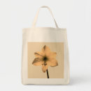 Recherche de amaryllis sacs Floral