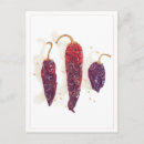 Recherche de poivre de piment cartes postales Chaud