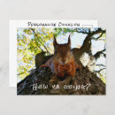 Recherche de la meilleure vente cartes postales Pour tous