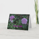 Recherche de lavendar vœux cartes Fleurs