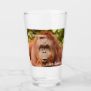 Recherche de zoo chopes Animal
