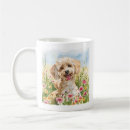 Recherche de caniche français tasses Dogs