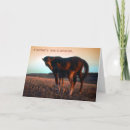Recherche de amour arabe cartes invitations Chevaux