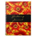 Recherche de marguerite de gerbera Marguerie