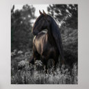 Recherche de cheval noir posters Imprimer