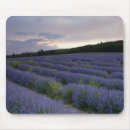 Recherche de agricole standard tapis souris Nuages