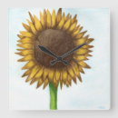 Recherche de dessin de fleurs horloges Botanique