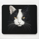 Recherche de mammifères tapis souris Chat