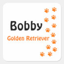 Recherche de chien sportif autocollants Toute personne