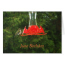 Recherche de oiseau migrateur cartes postales Nature