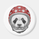 Recherche de casque moto magnets Mignon