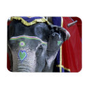 Recherche de éléphants colorés magnets Animal
