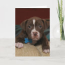 Recherche de chiot triste vœux cartes Animaux